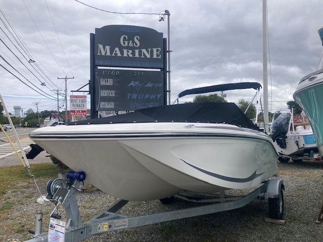 2024 Bayliner Element M17